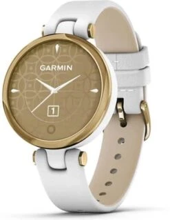 Garmin LILY CLASSIC SET 010-02384-B3 Smartwatch SmartWatch