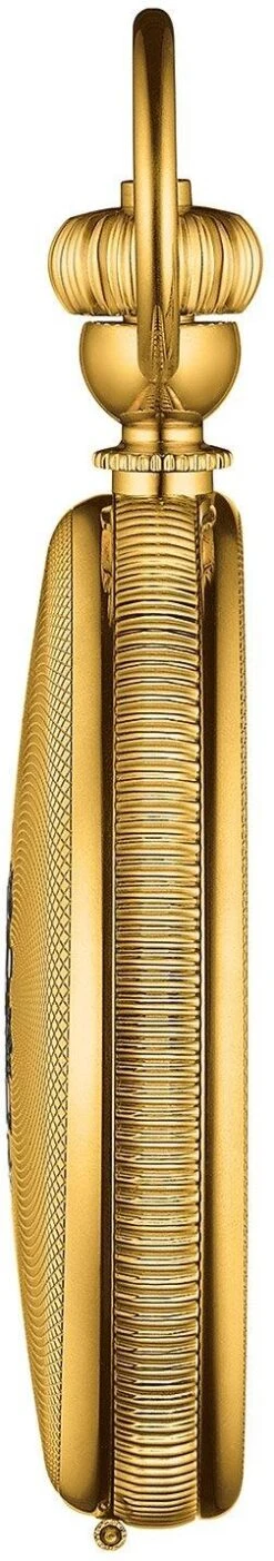 Tissot Tissot Savonnette Mechanical T867.405.39.013.00 Taschenuhr -Swatch || Tissot Verkäufe c6022d10 1516 4fc8 9080 0199403d539d